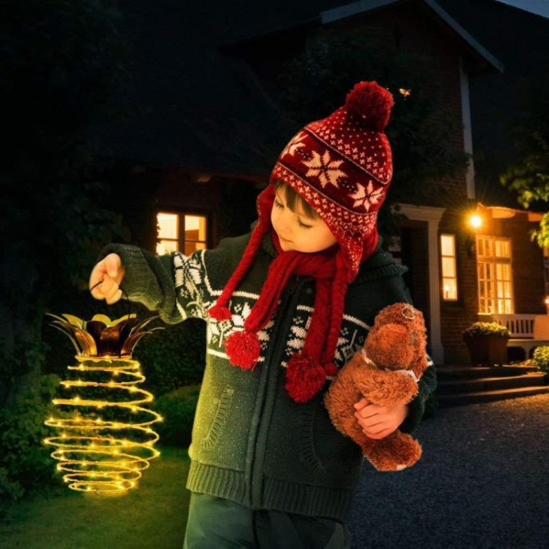 Solarbetriebene LED-Lichterket – Outdoor Lighting Wire Bewertung und Preis